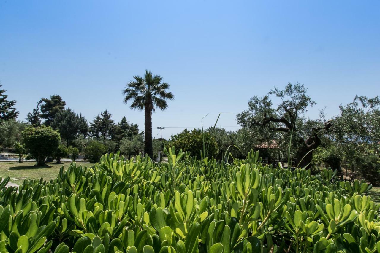 Katerina's Garden Mola Kaliva Villa Dış mekan fotoğraf